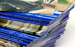 Promotional Materials Development