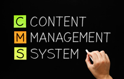 Content Management Systems (CMS)