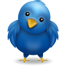 Lost Twitter Bird