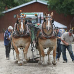 Creating content for fairs