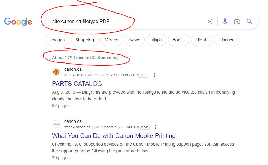 screen capture of Google SERP page count of PDF